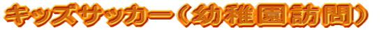 �L�b�Y�T�b�J�[�i�c�t���K��j
