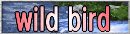 ���ł�doko�ł��E�I�b�`���O